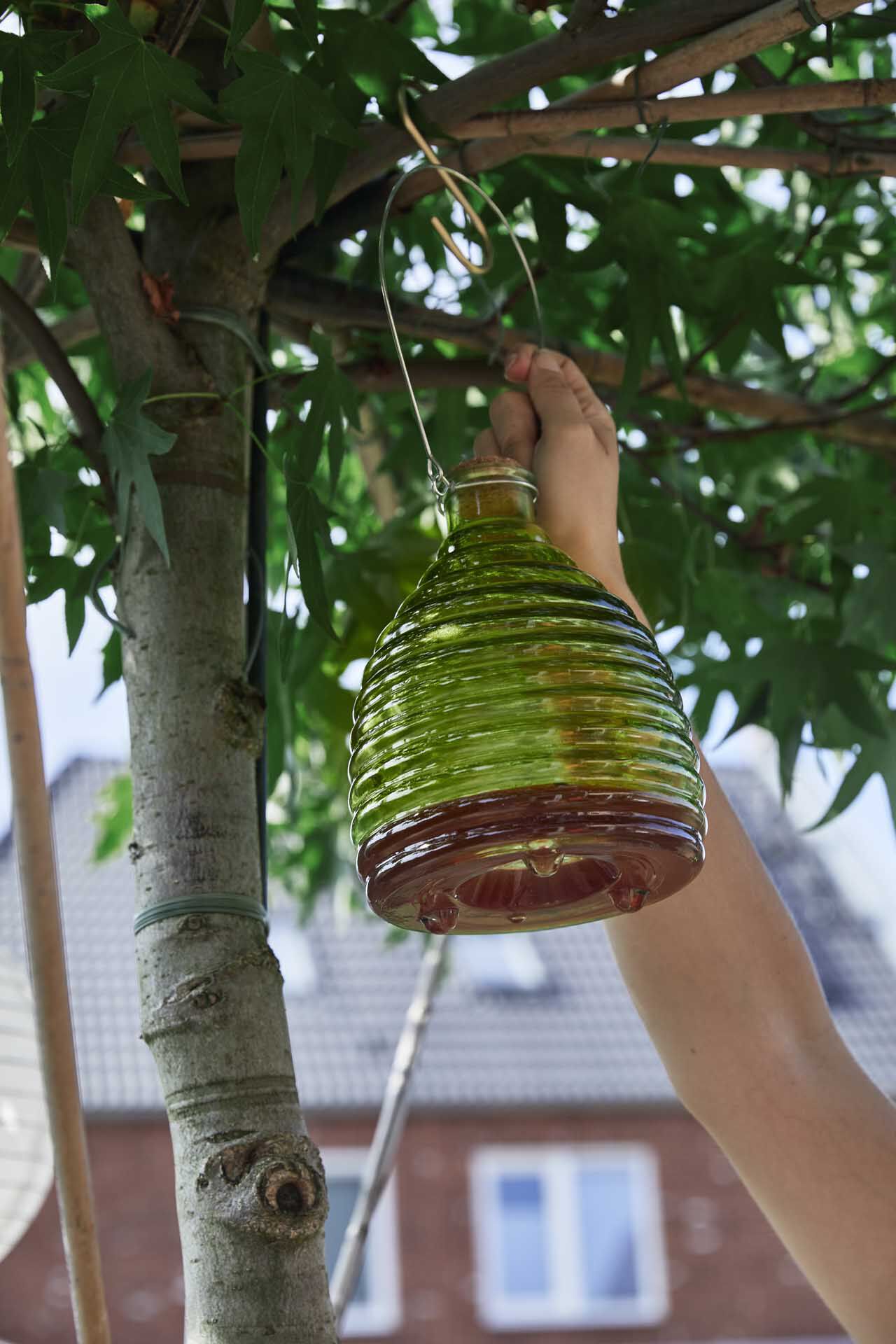 wespenval in tuin - advies welkoop